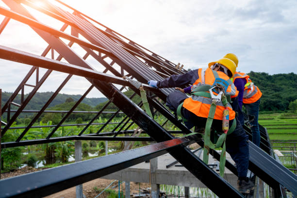 Best Roof Inspection Near Me  in Manchester, MI