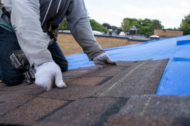 Best Best Roofing Contractors  in Manchester, MI