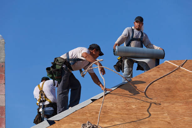 Best New Roof Installation  in Manchester, MI