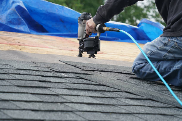 Best Roof Maintenance Services  in Manchester, MI