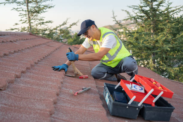 Best Roof Waterproofing Services  in Manchester, MI