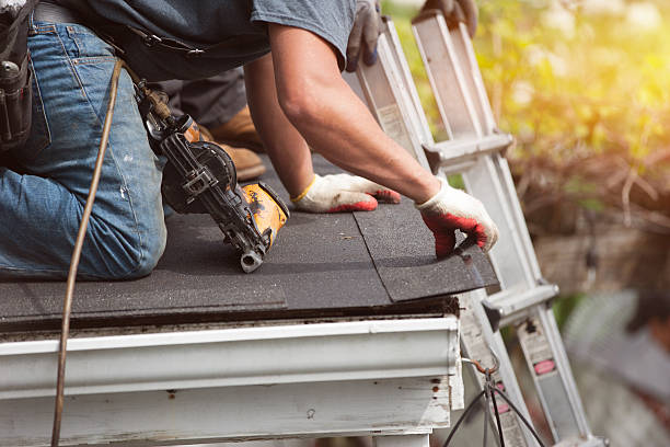 Best Roof Inspection Near Me  in Manchester, MI