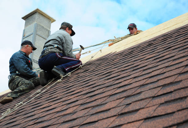 Best Roof Gutter Cleaning  in Manchester, MI