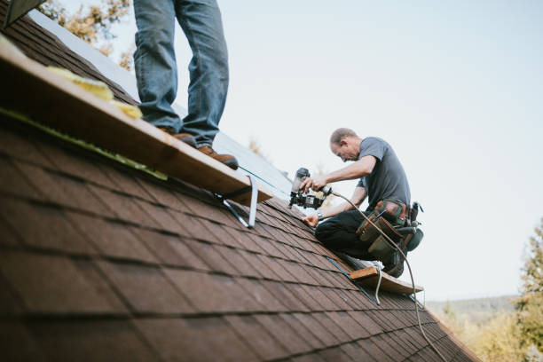 Best Local Roofing Companies  in Manchester, MI